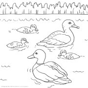 Malvorlagen Tiere