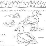Malvorlagen Tiere